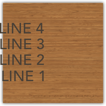 Homewood Suites - BACK OF THE HOUSE - 4-LINE TEXT WITH BRAILLE