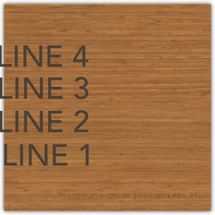 BACK OF THE HOUSE - 4-LINE TEXT WITH BRAILLE